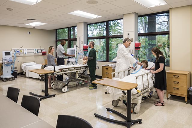 Faculty and students work together in the Cardiopulmonary Sciences lab.