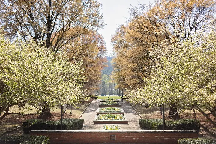 Centennial Walk in Spring