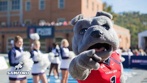 Samford Mascot Desktop Wallpaper