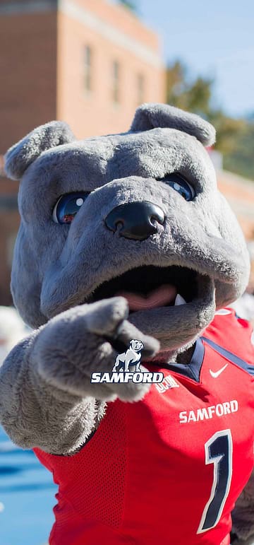 Samford Mascot Mobile Wallpaper