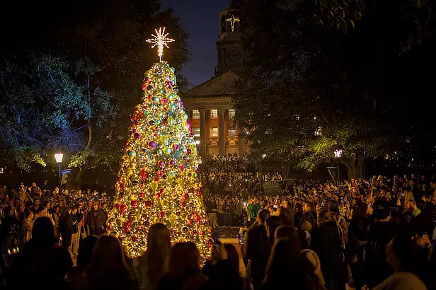 Lit Christmas Tree